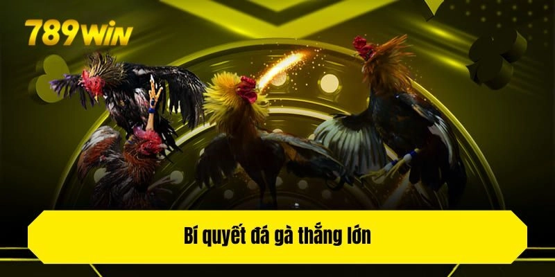 Bí quyết đá gà thắng lớn