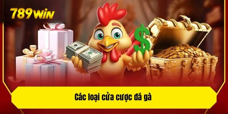 Các loại cửa cược đá gà 