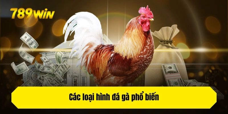 Các loại hình đá gà phổ biến