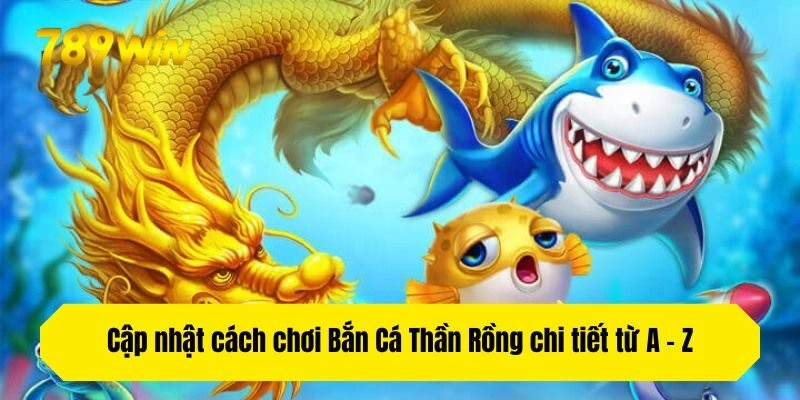 Cập nhật cách chơi Bắn Cá Thần Rồng chi tiết từ A - Z