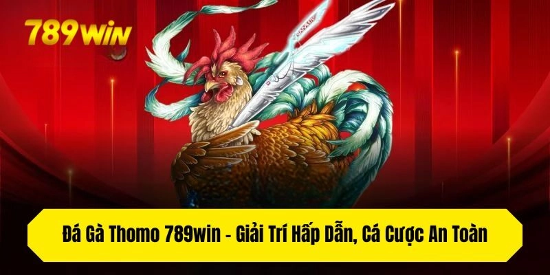 Đá Gà Thomo 789win – Giải Trí Hấp Dẫn, Cá Cược An Toàn