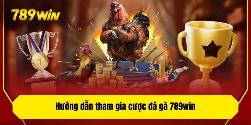 Hướng dẫn tham gia cược đá gà 789win