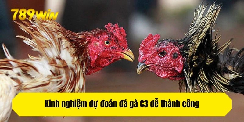 Kinh nghiệm dự đoán đá gà C3 dễ thành công