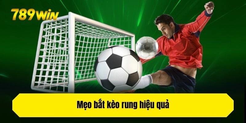 Mẹo bắt kèo rung hiệu quả