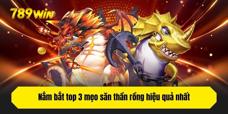 Nắm bắt top 3 mẹo săn thần rồng hiệu quả nhất