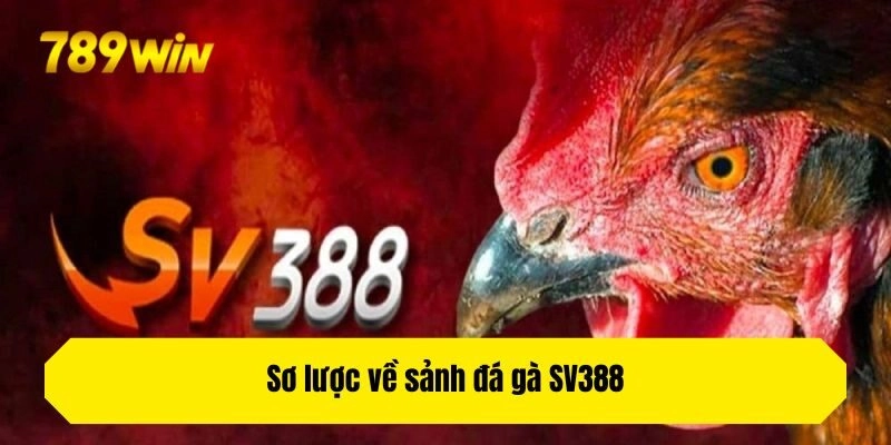 Sơ lược về sảnh đá gà SV388