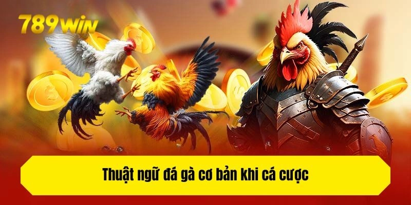 Thuật ngữ đá gà cơ bản khi cá cược