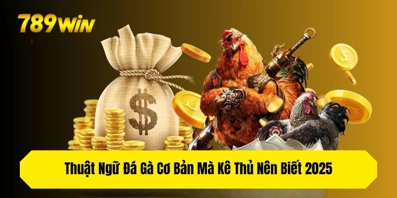 Thuật Ngữ Đá Gà Cơ Bản Mà Kê Thủ Nên Biết 2025