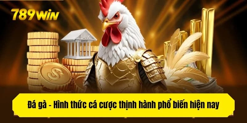 Đá gà - Hình thức cá cược thịnh hành phổ biến hiện nay
