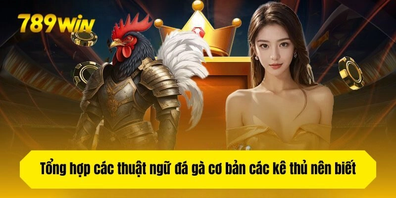 Tổng hợp các thuật ngữ đá gà cơ bản các kê thủ nên biết