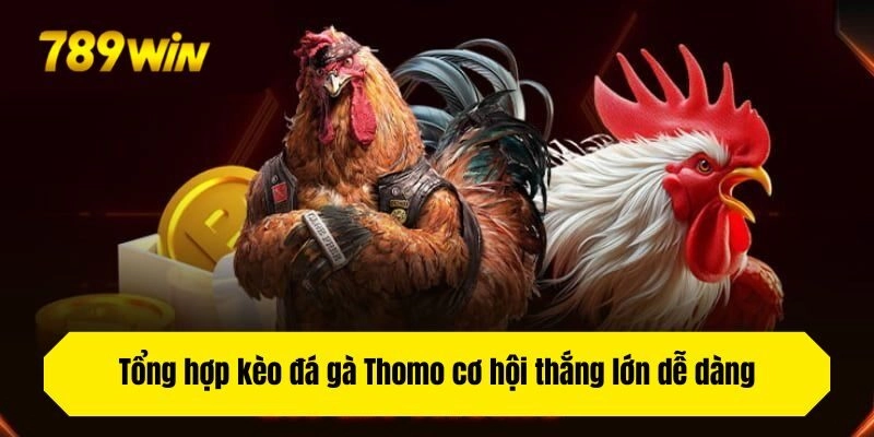 Tổng hợp kèo đá gà Thomo cơ hội thắng lớn dễ dàng
